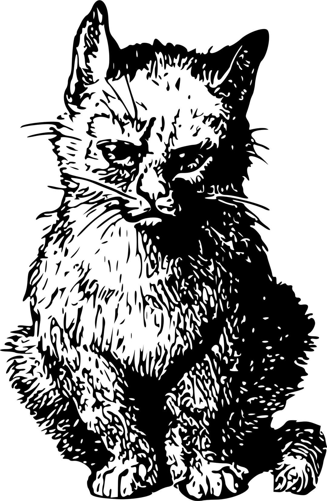 Angry cat png transparent