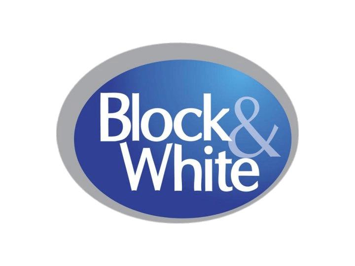 Block & White Logo png transparent