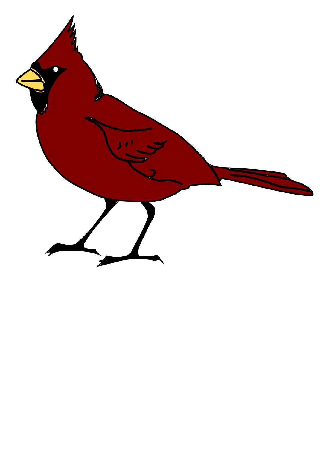 Cardinal png transparent