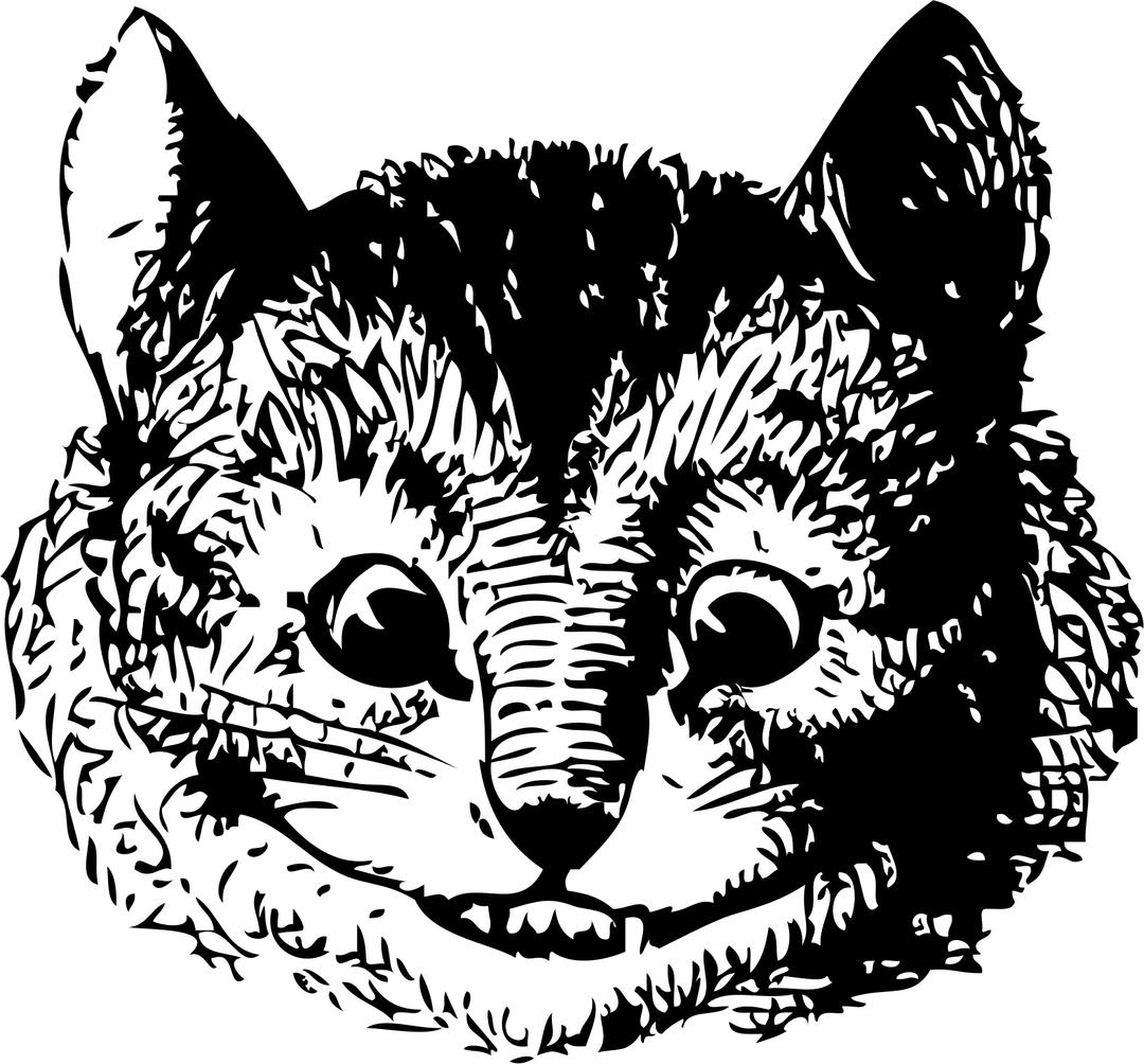 Cheshire Cat Vintage Drawing png transparent