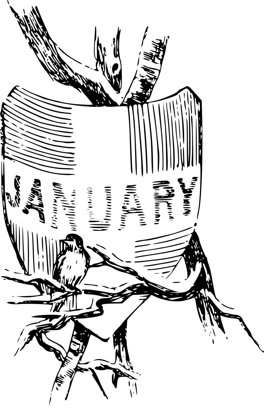 Illustrated months (January) png transparent