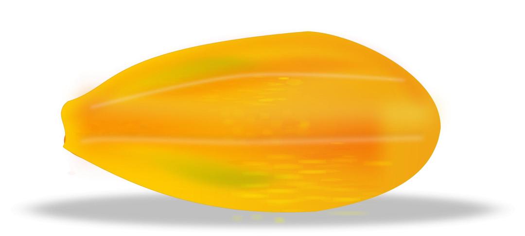 papaya png transparent