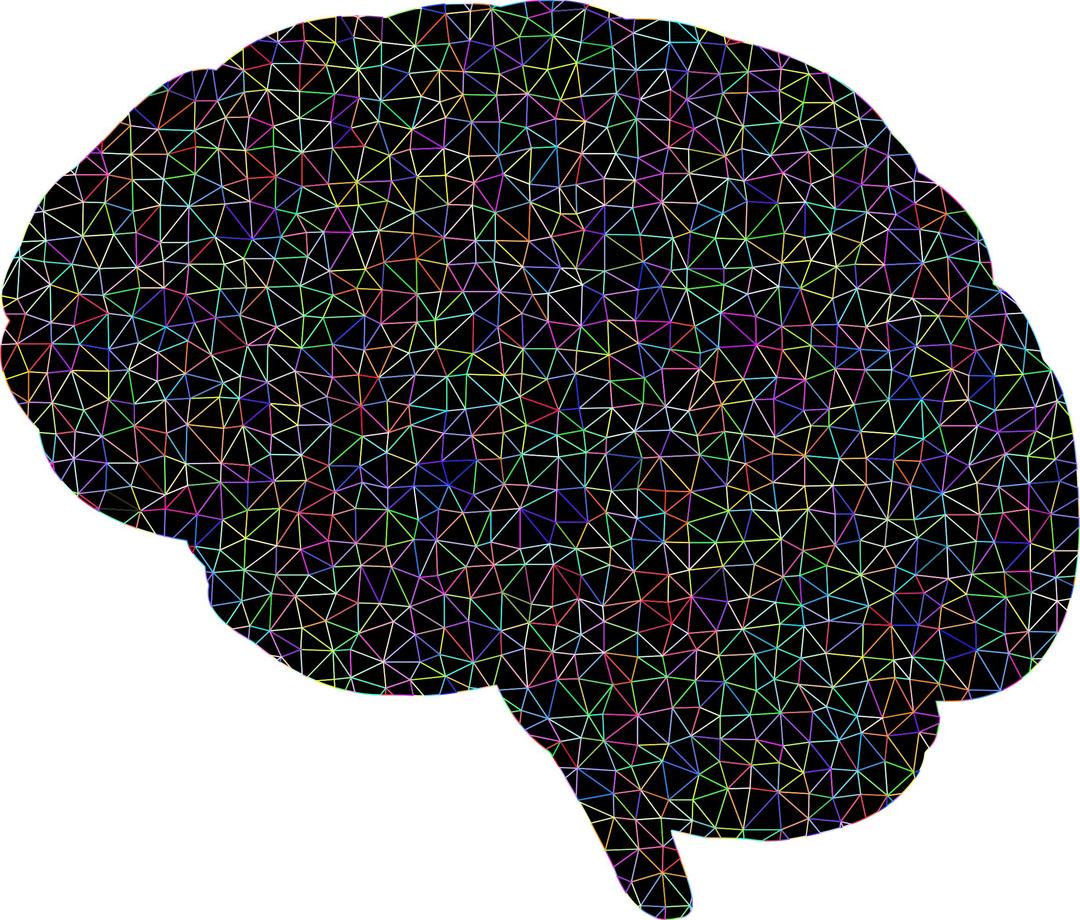 Prismatic Polygonal Wireframe Brain png transparent