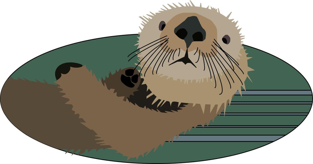 Sea otter png transparent