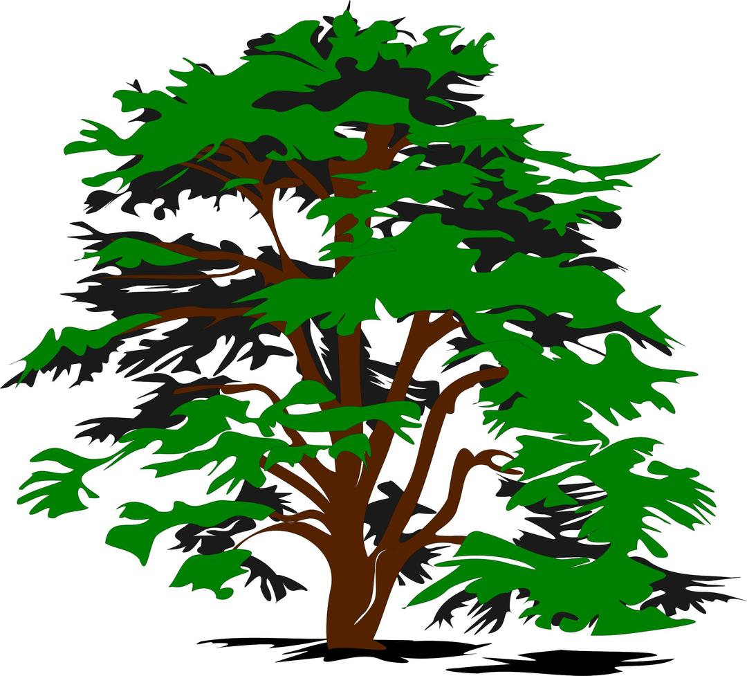simple vector tree png transparent