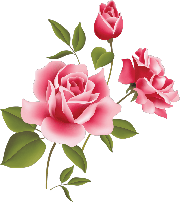 Art Picture Roses icons png preview