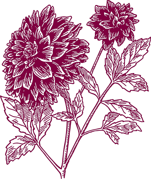 Carnation Flower Tattoo Art icon icons png preview