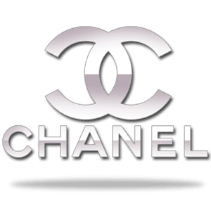 Chanel Silver Logo Icon icons png preview