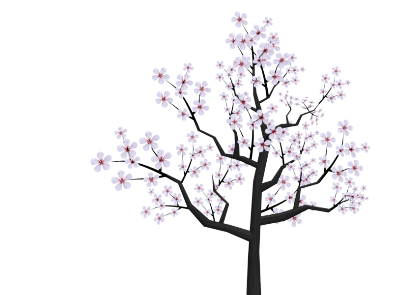 Cherry Blossom Png icons png preview