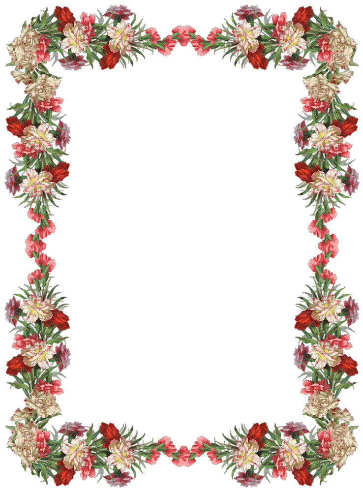 Colorful Flowers Frames Png icons png preview