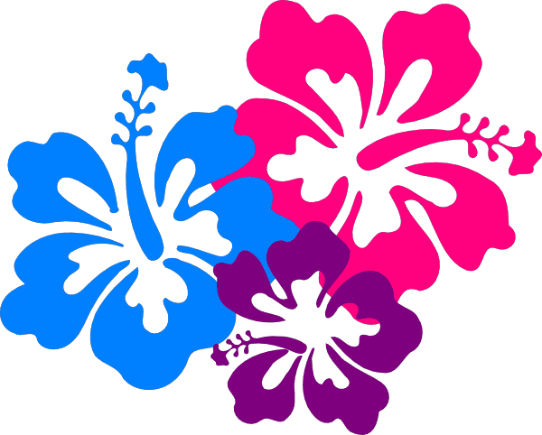 Couple Colorful Tropical Flowers Png icons png preview