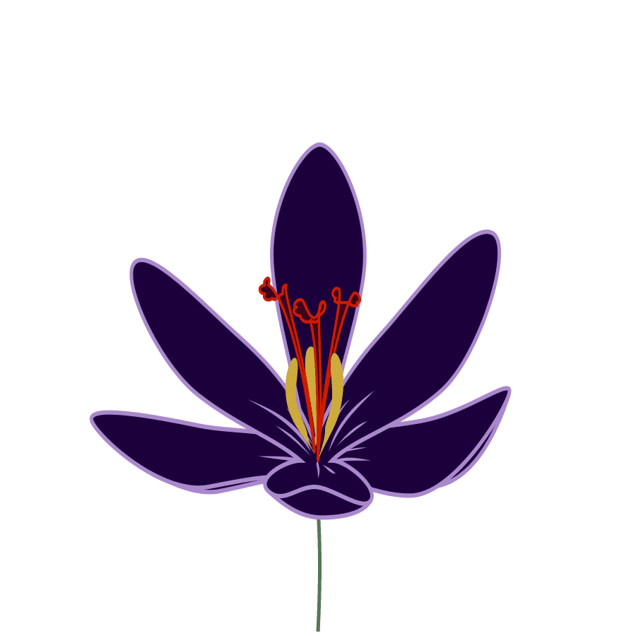 Crocus Flower icons png preview