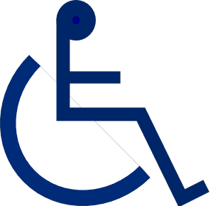 Disability Wheelchair icon icons png preview