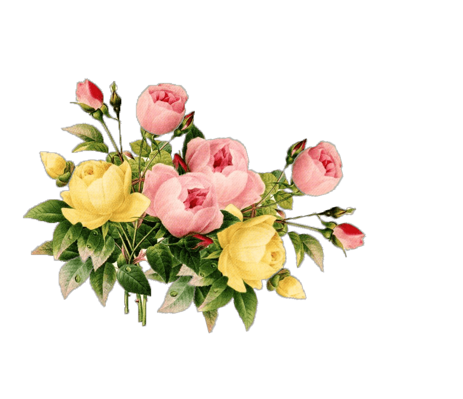 Floral Vintage bouquet icons png preview