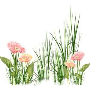 Green nature grass gardening clip art icons png preview