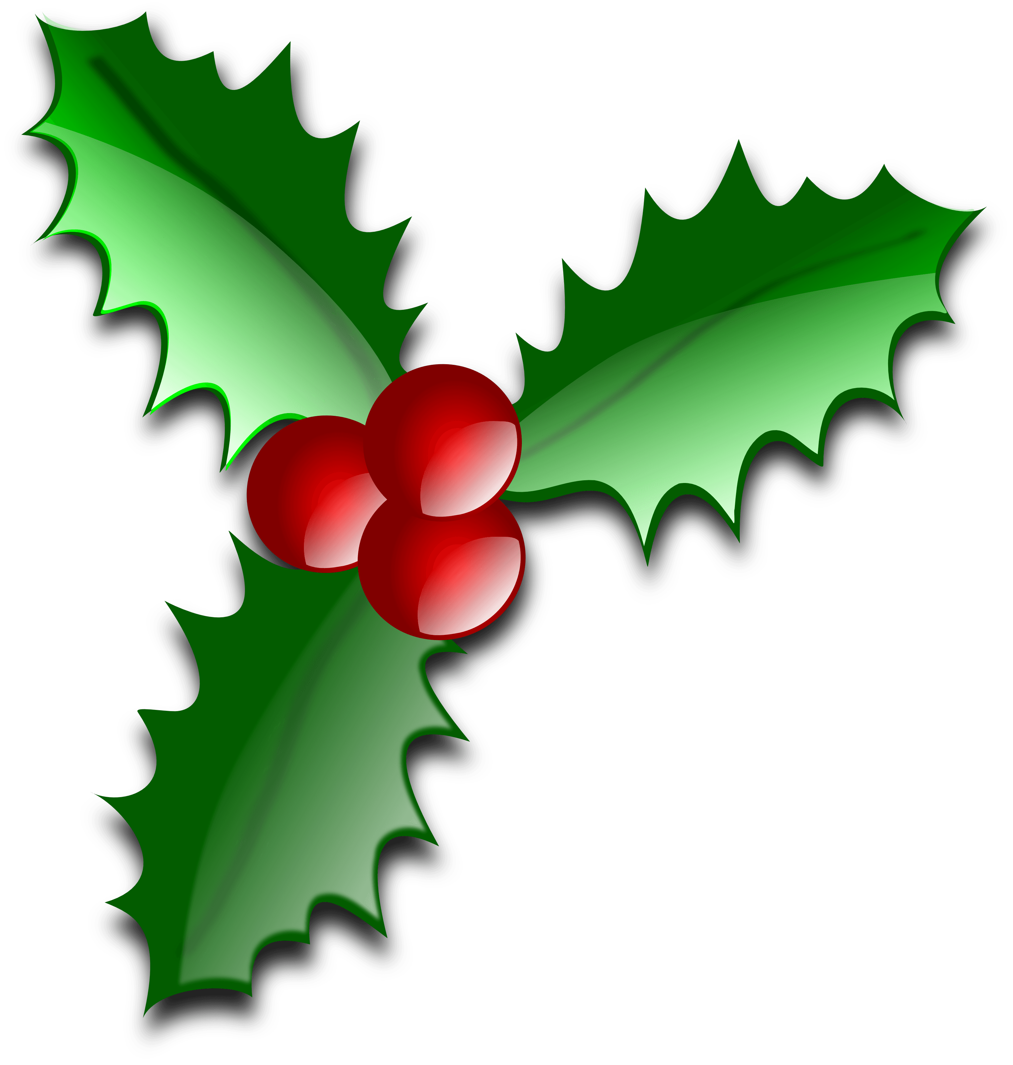 Holly Leaves green icons png preview