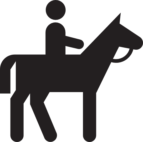 Horse Rider Silhouette icons png preview