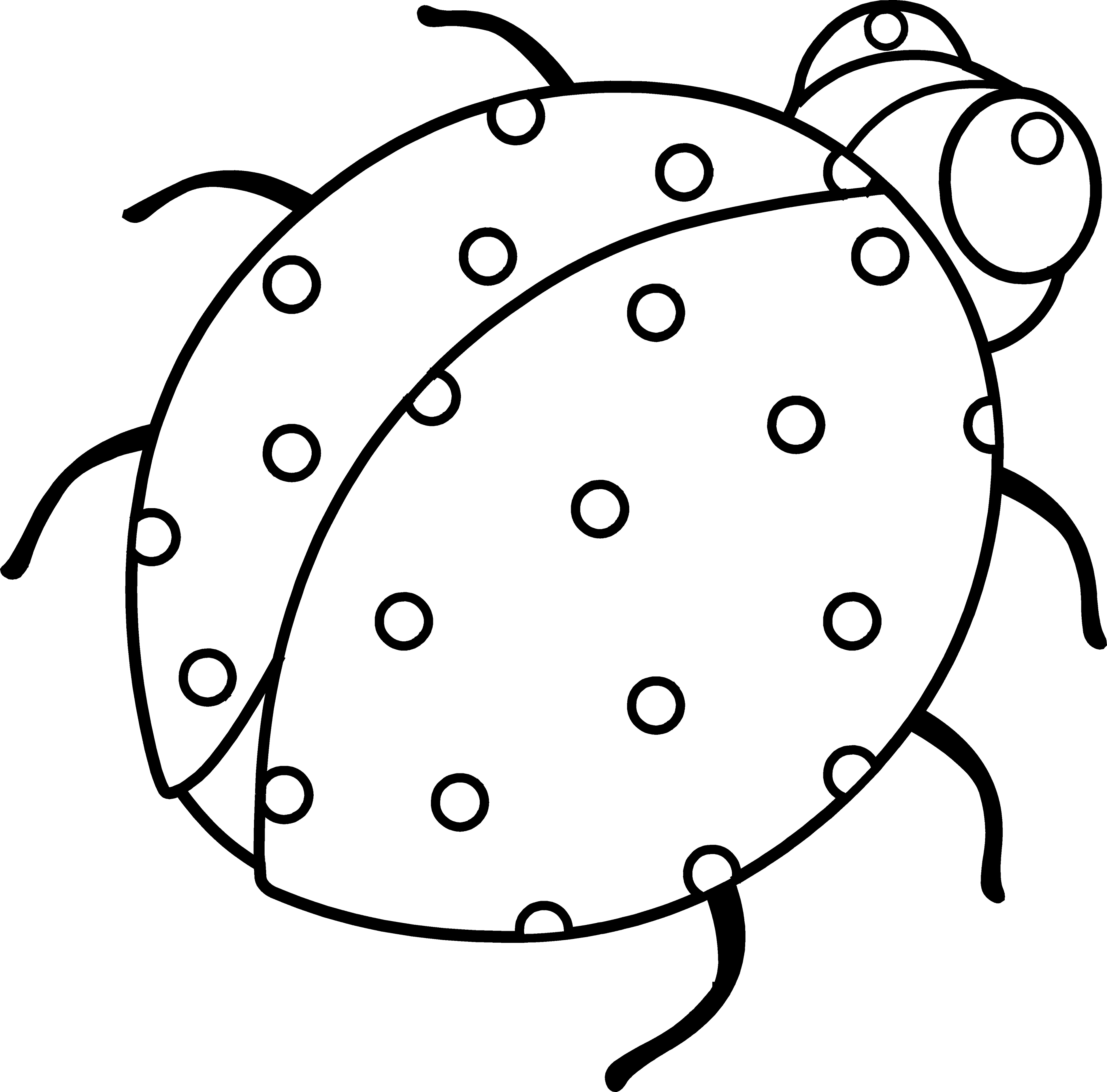 Ladybug Outline icons png preview