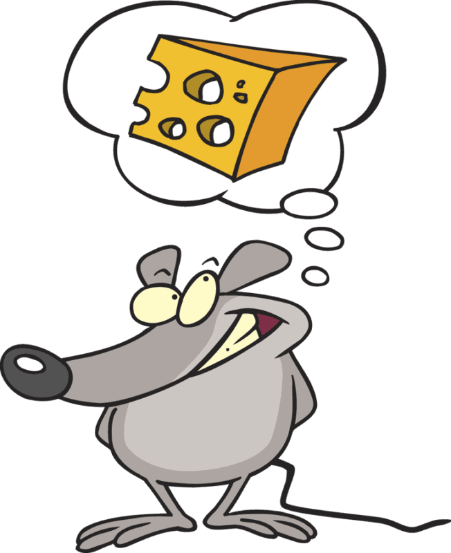 Mouse with Piece of Cheese icons png preview