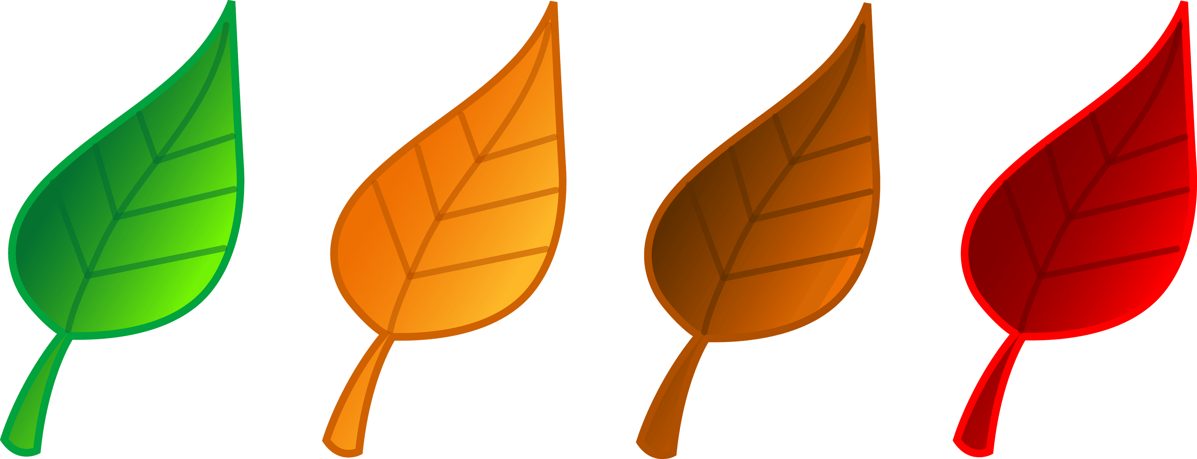 Professional Different Colored Leaves Png icons png preview