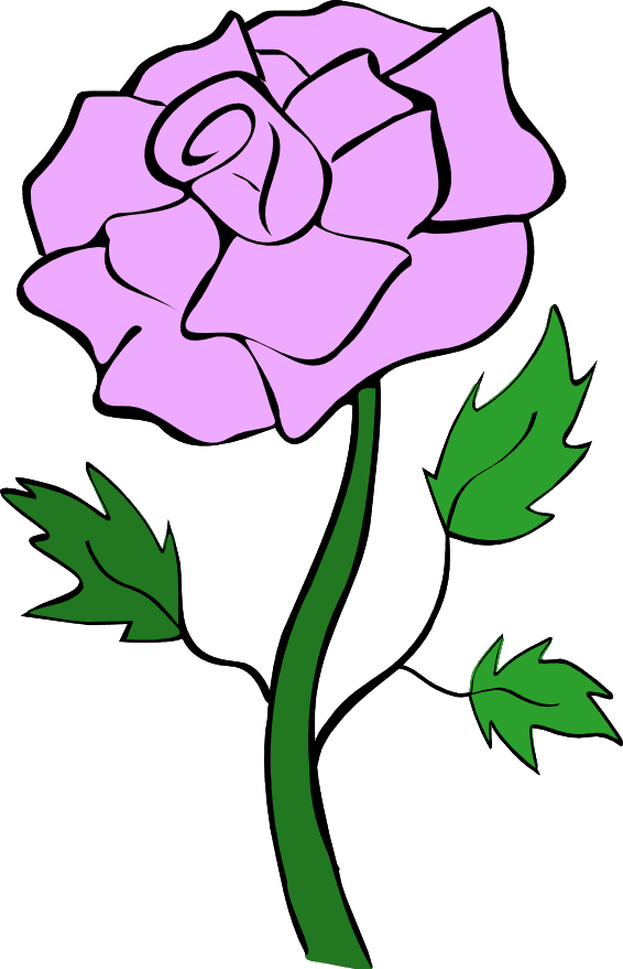 Purple rose green leaves icons png preview