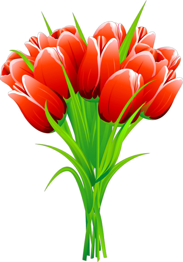 Spring Red Tulip bouquet icons png preview