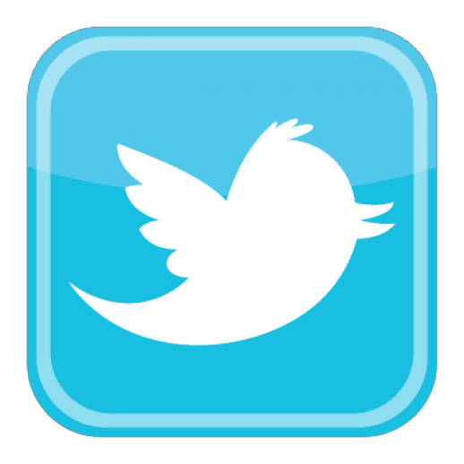 Twitter Bird Logo icons png preview