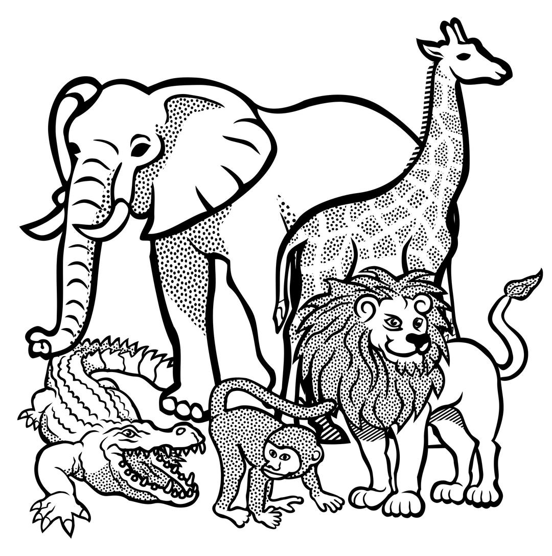 african animals - lineart png transparent
