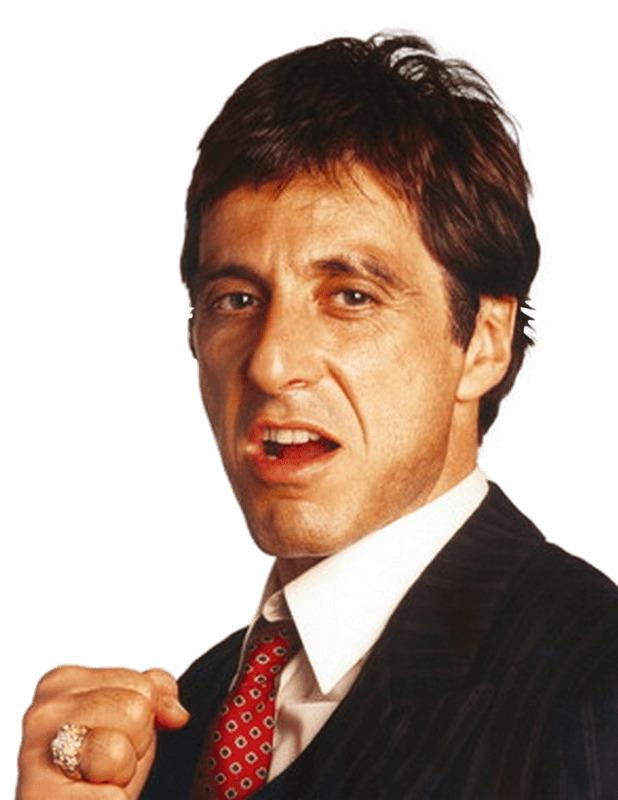 Al Pacino Portrait png transparent