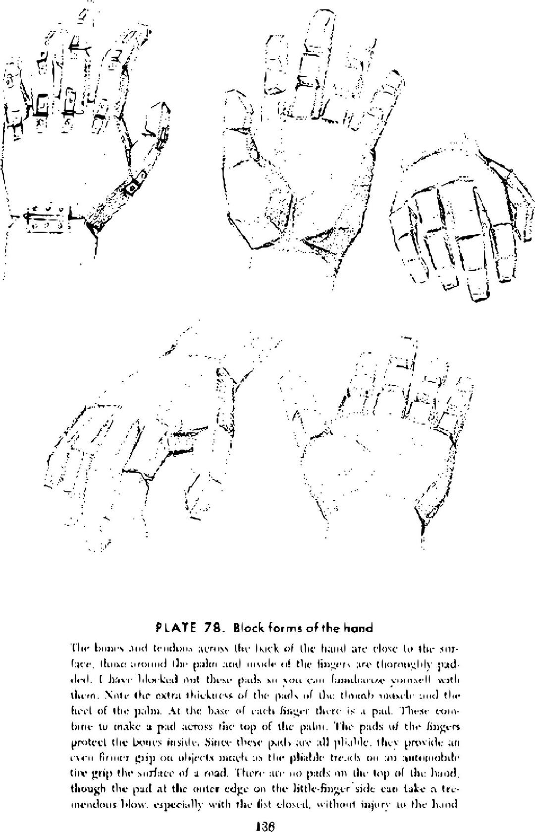Andrew Loomis Drawing the Head and Hands (potrace) 123 png transparent