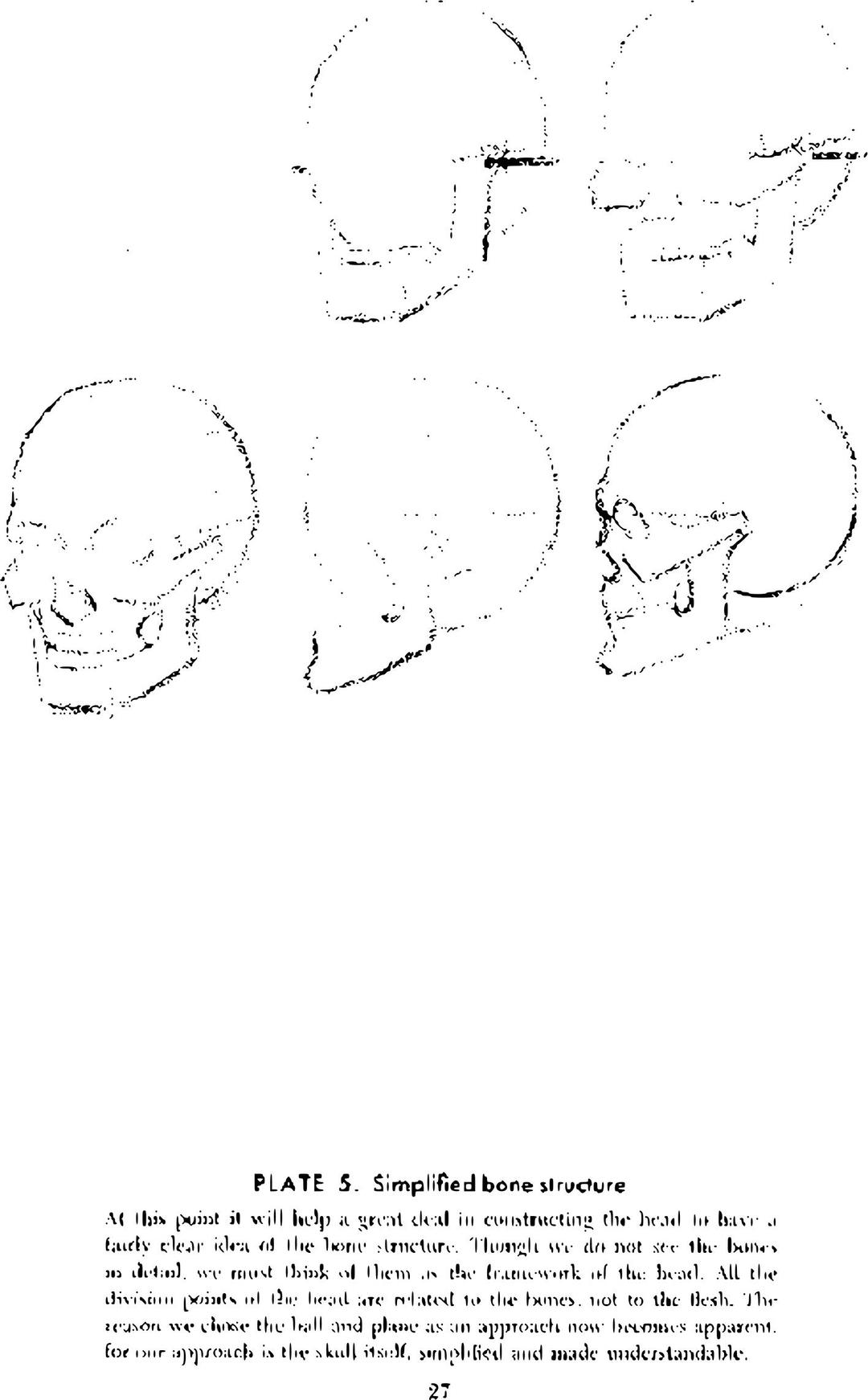 Andrew Loomis Drawing the Head and Hands (potrace) 22 png transparent