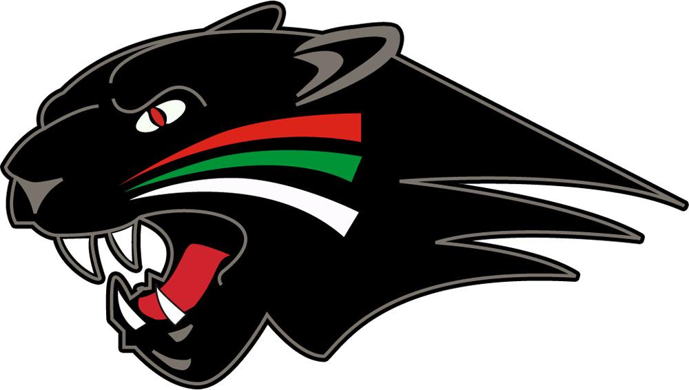 Augsburger Panther Head Logo png transparent