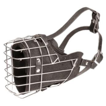 Basket Cage Dog Muzzle png transparent