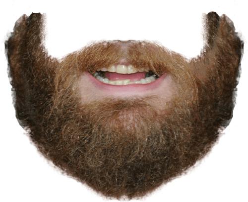 Beard and Mouth png transparent