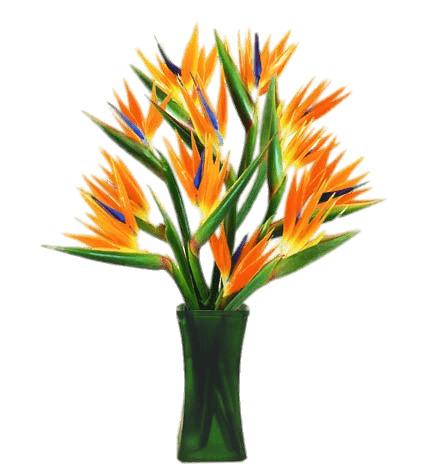 Bird Of Paradise Flowers In A Vase png transparent