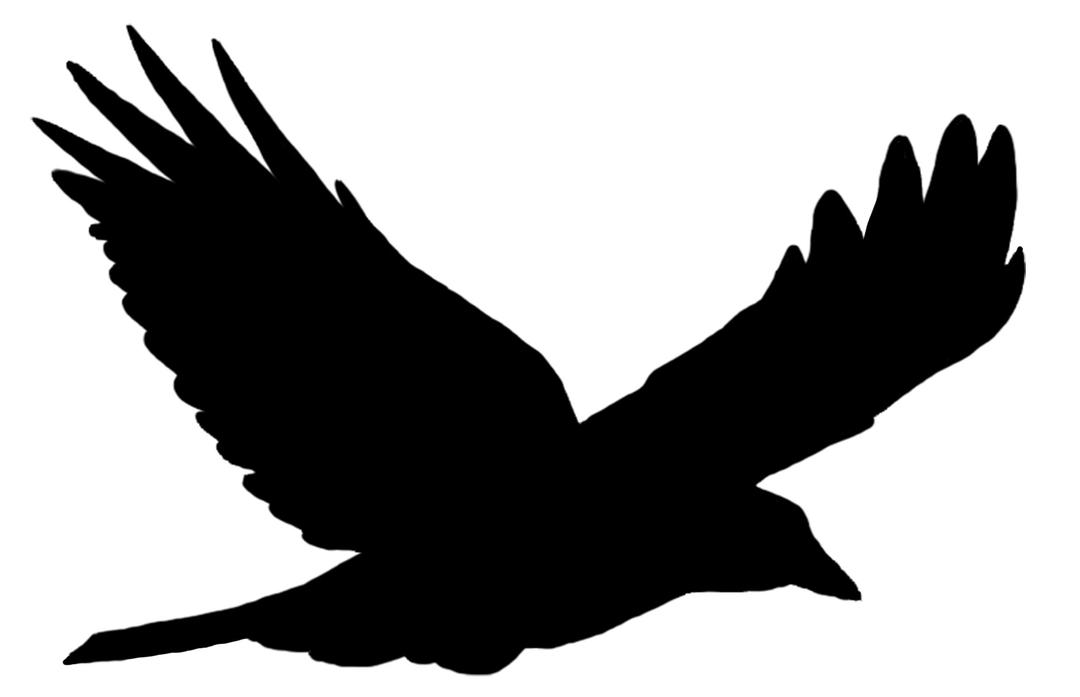 Bird Silhouette Solo Flying png transparent