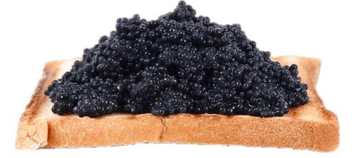 Black Caviar on Toast png transparent