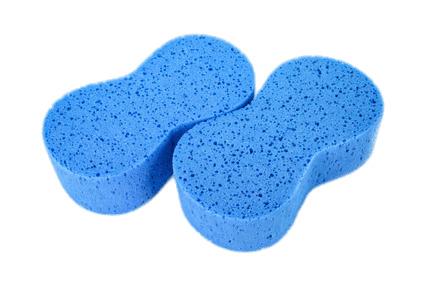 Blue Sponges png transparent