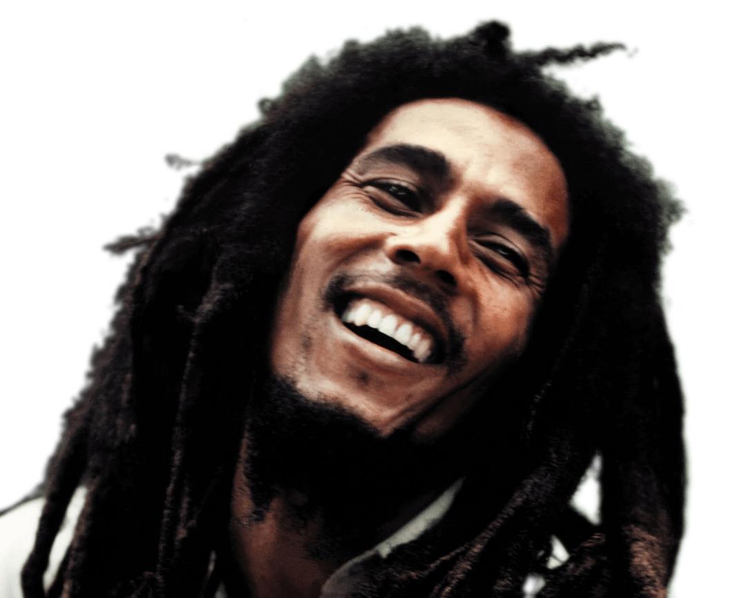 Bob Marley Face png transparent