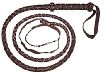 Brown Whip png transparent