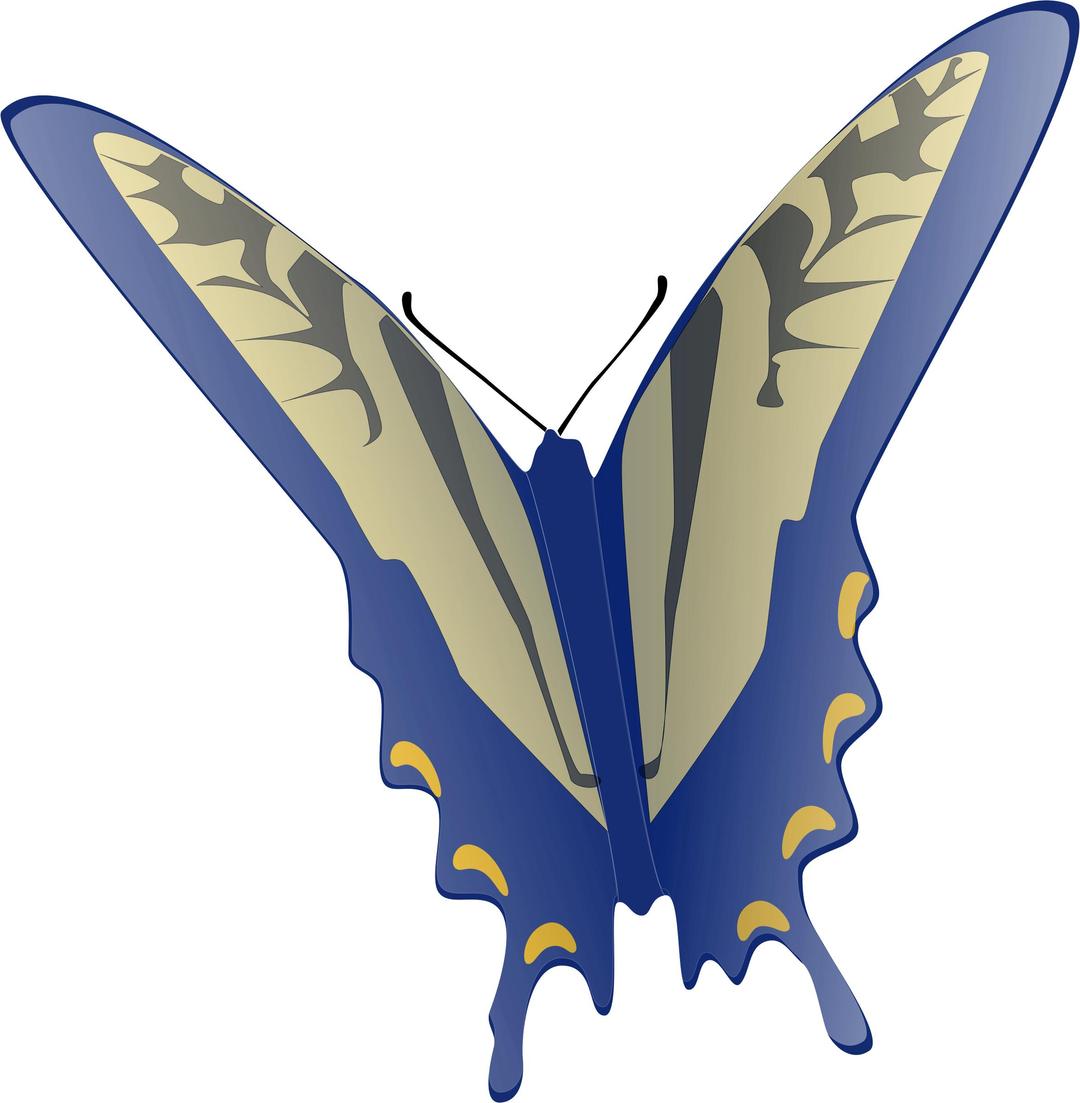 Butterfly png transparent