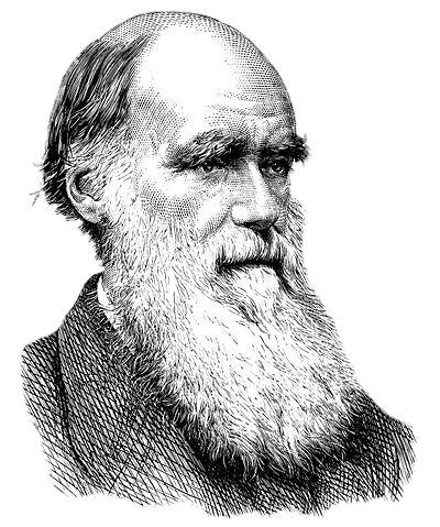Charles Darwin Black and White Drawing png transparent