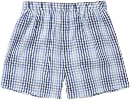 Checkered Boxer Shorts png transparent