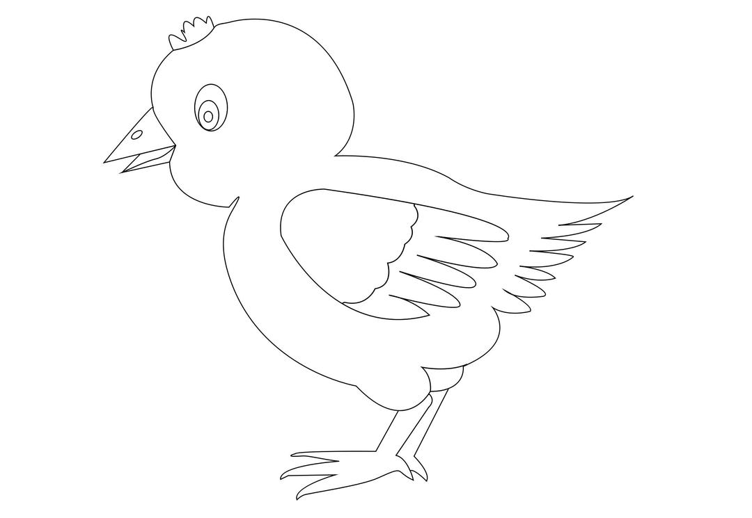 chicken-002-vector-coloring png transparent