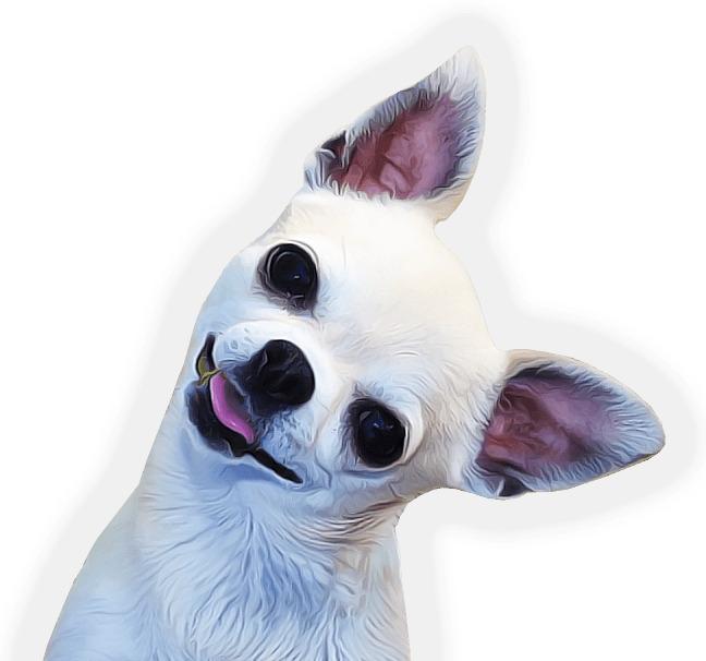 Chihuahua Face Side png transparent