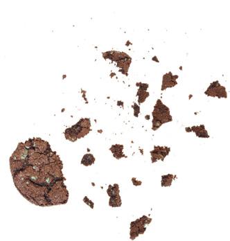 Cookie Crumbs png transparent