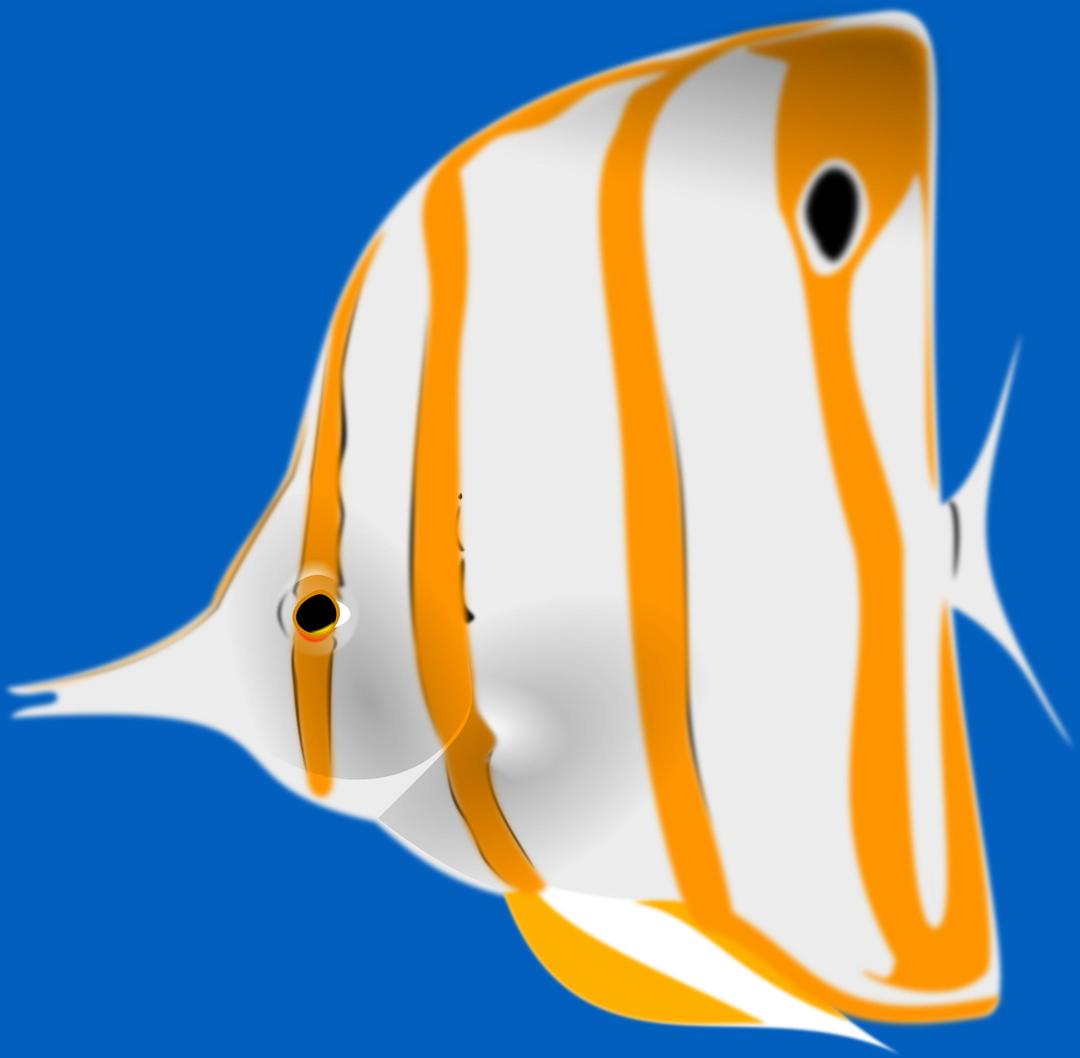 Copperband Butterflyfish png transparent