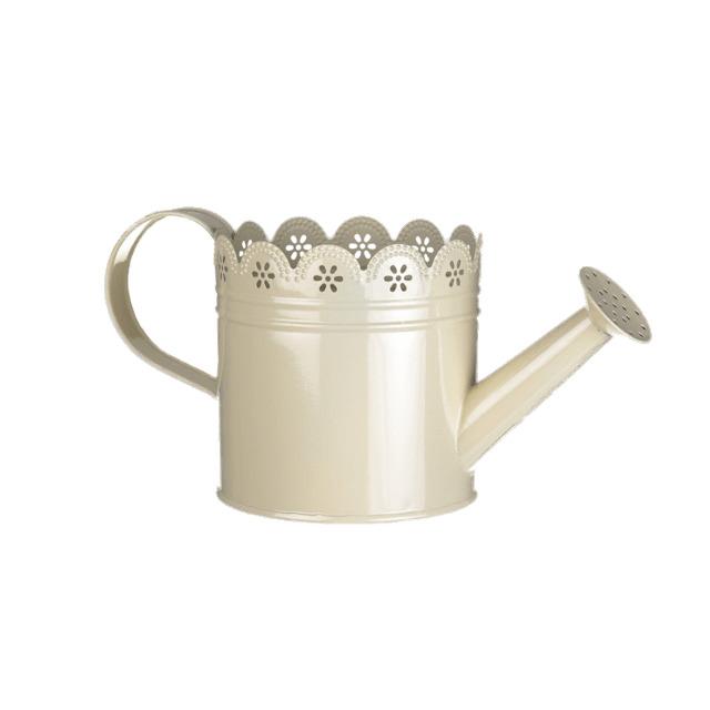 Country Style Watering Can png transparent