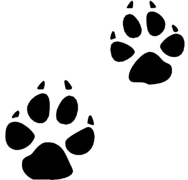 Coyote Paw Prints png transparent