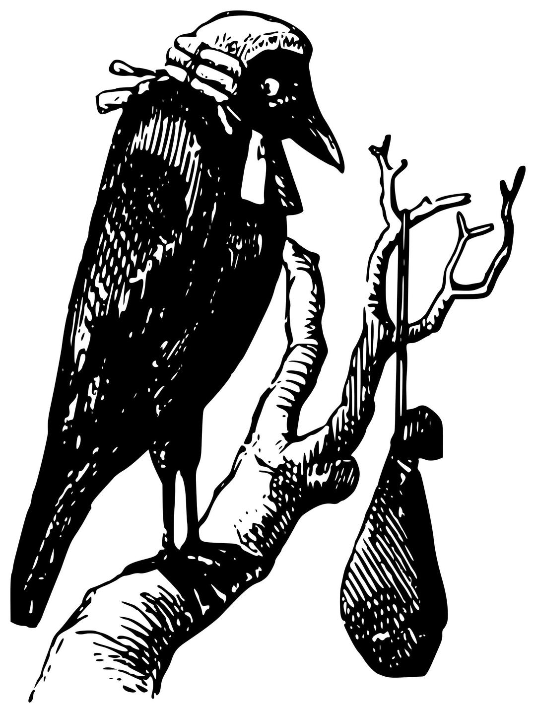 Crow judge in a tree with a bag of gold png transparent